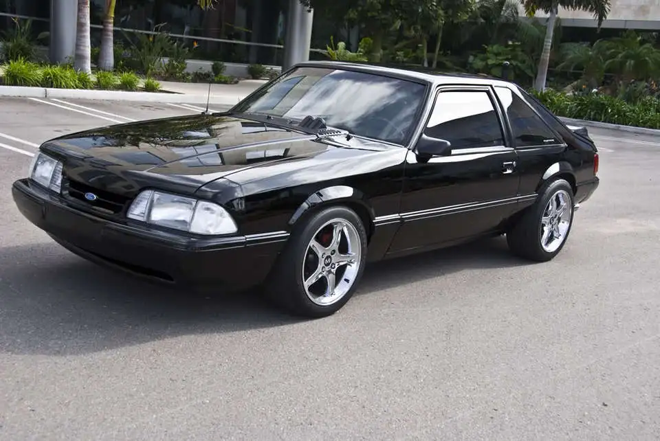 Mustang_0001.webp