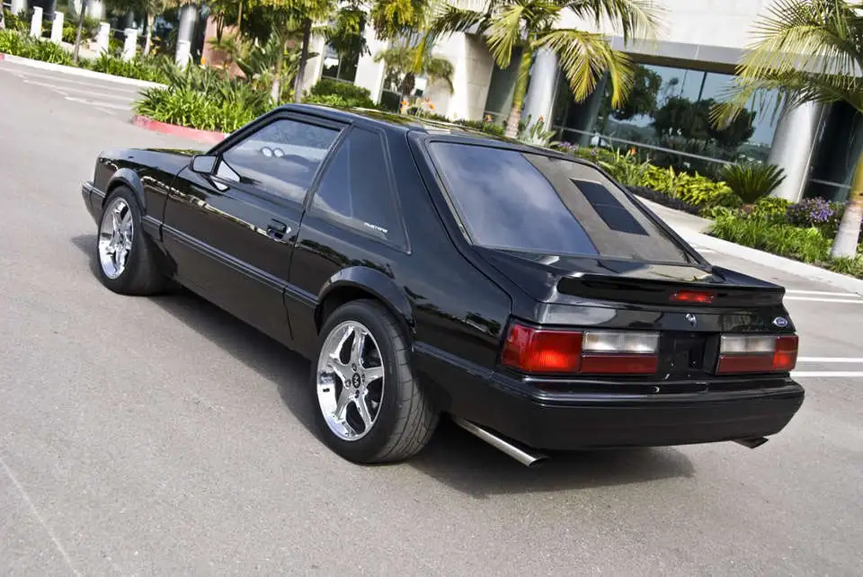 Mustang_0002.webp