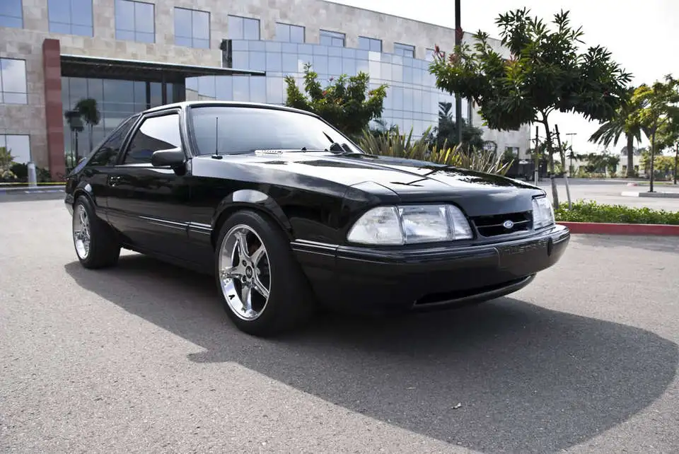 Mustang_0006.webp