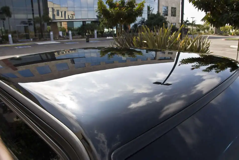 Mustang_0010.webp