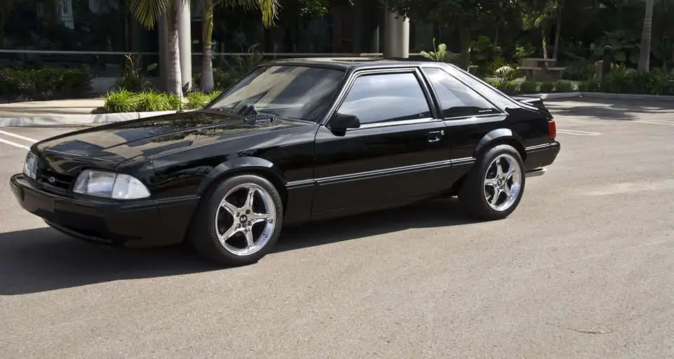 Mustang_0015.webp