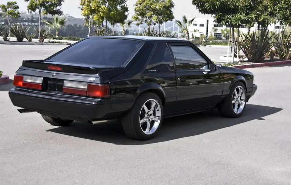 Mustang_0021.webp
