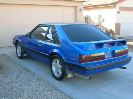 Mustang_005.webp