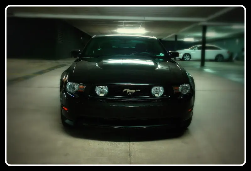 Mustang_1-001.webp