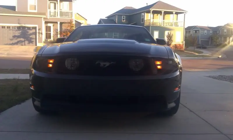 Mustang_1.webp