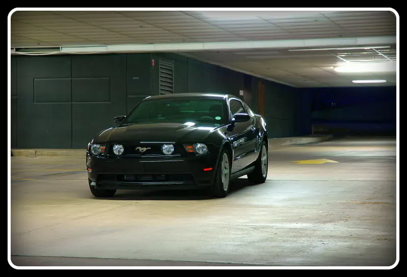 Mustang_2-1.webp