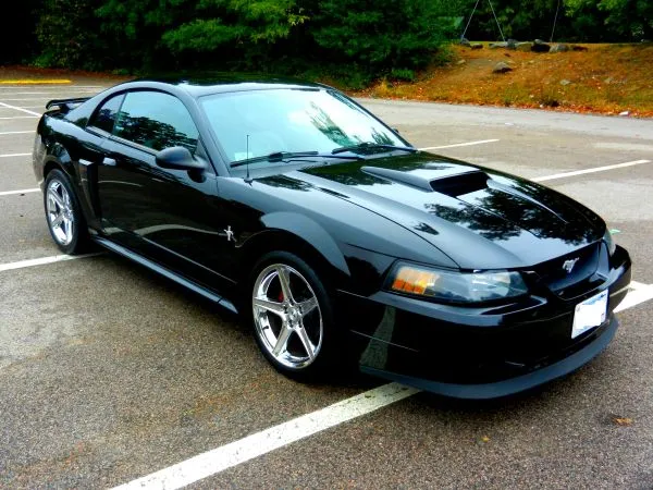 Mustang_2.webp