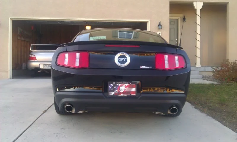 Mustang_2.webp