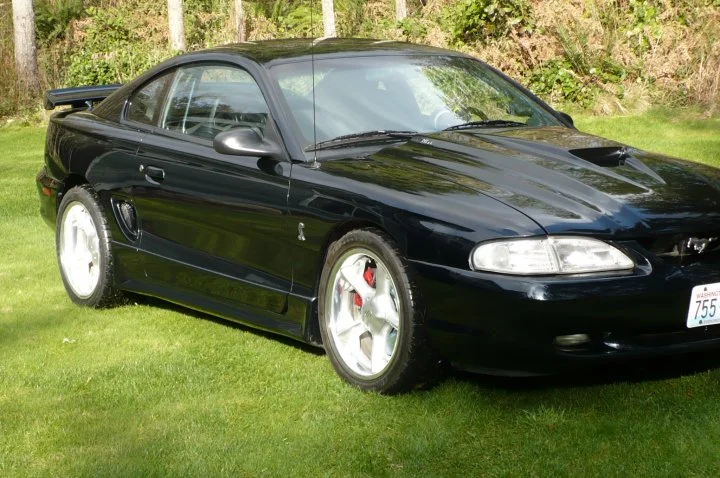 mustang_2.webp