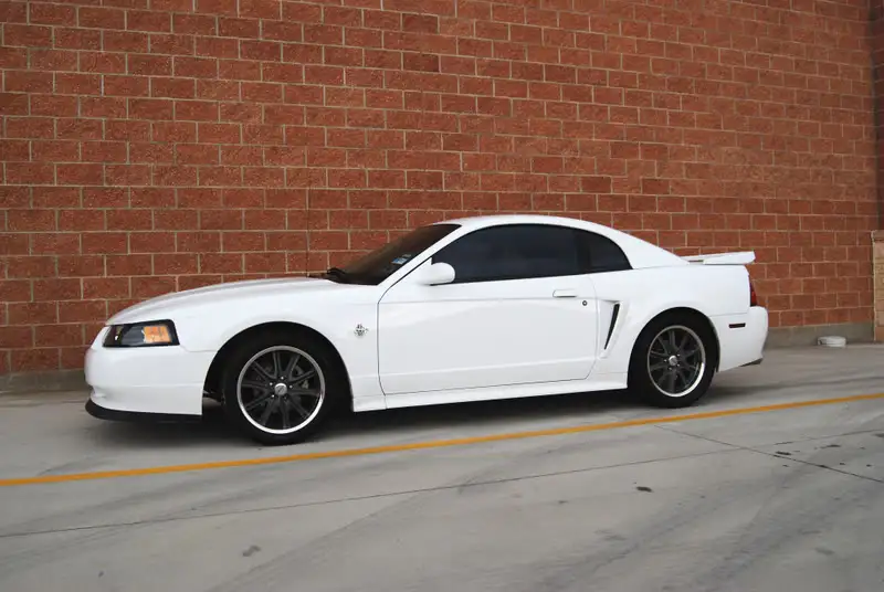 mustang_2007.webp