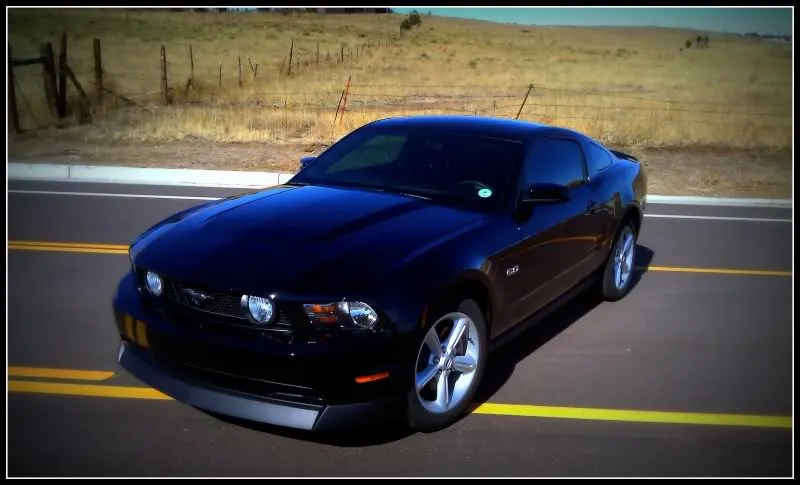 Mustang_2a.webp