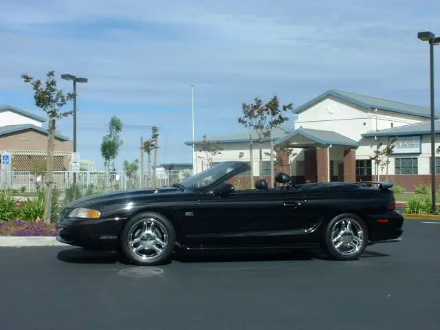 mustang_3.webp