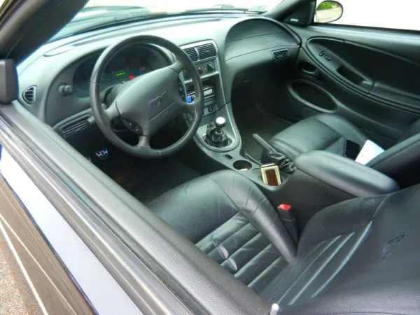 Mustang_4.webp