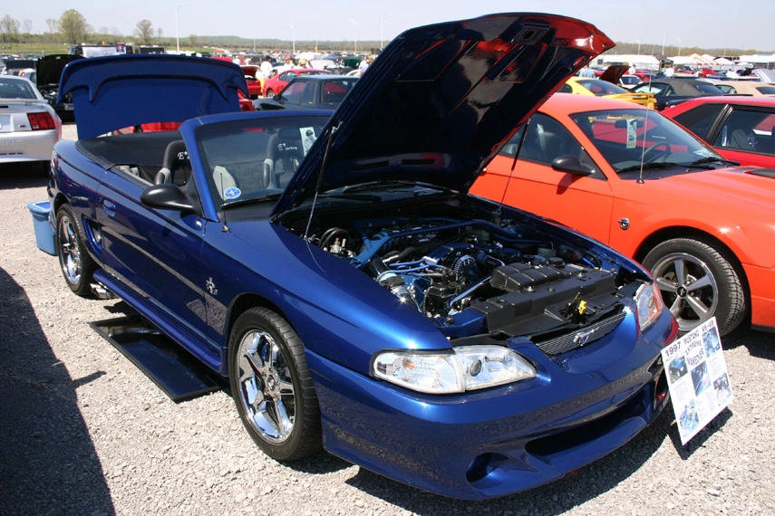 mustang_40th_336.webp