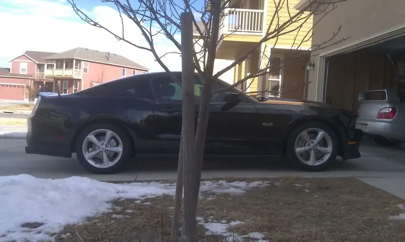 Mustang_after.webp
