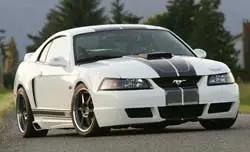 mustang_bumper_small.webp