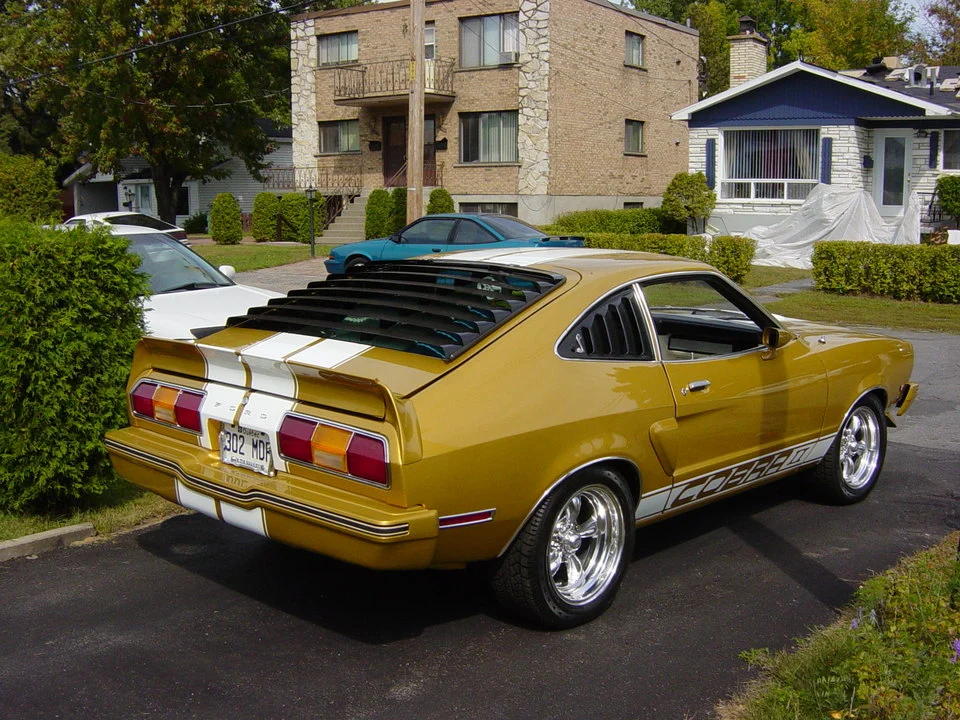 mustang_cobra_daniel_051.webp