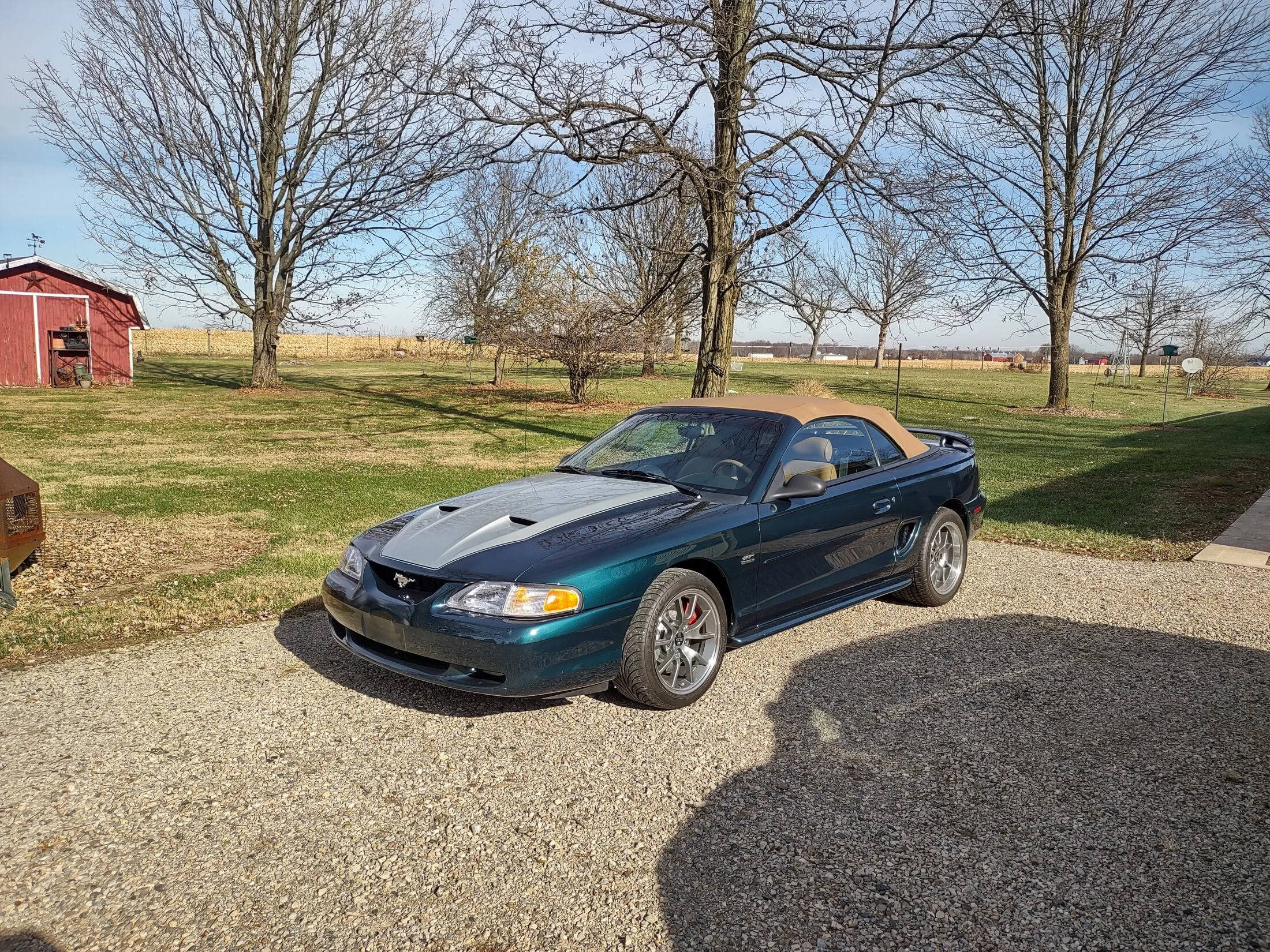 Mustang_Fall_2022.webp