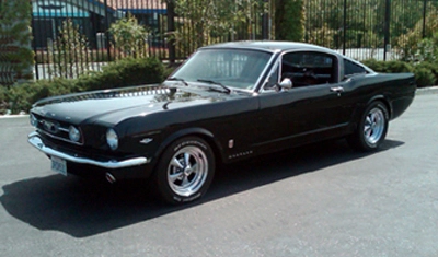 Mustang_FB.webp