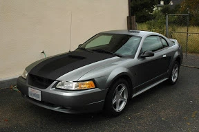 mustang_grey.webp
