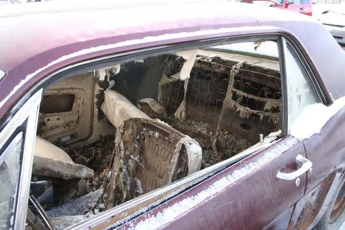 mustang_inside.webp