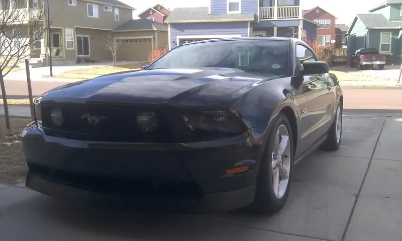 Mustang_lowered.webp