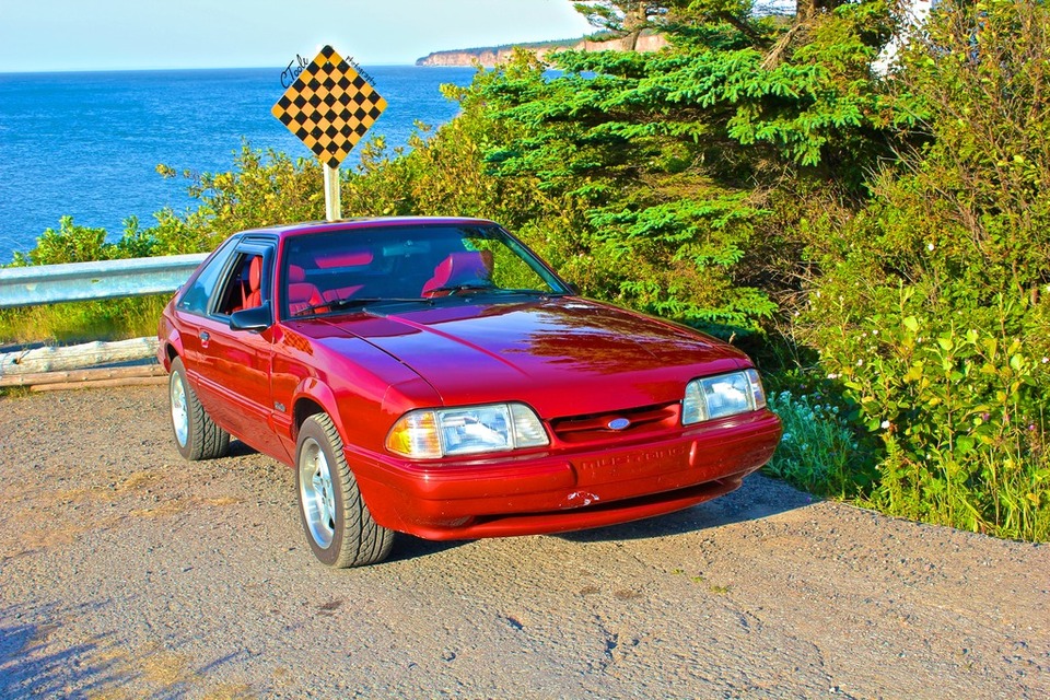 Mustang_Ocean-500px.jpg