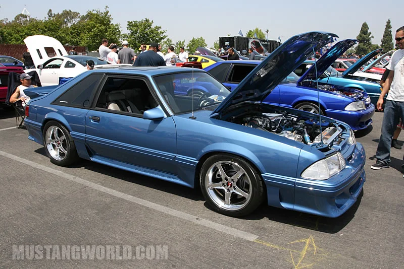 mustang_world_knotts_2010_6321_JPG.webp