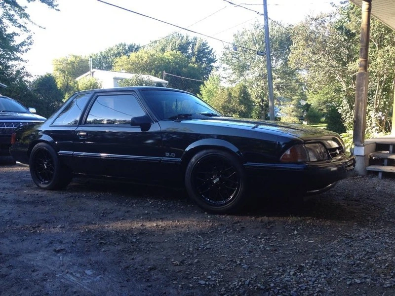 Mustang_zps8tpvs5d6.webp