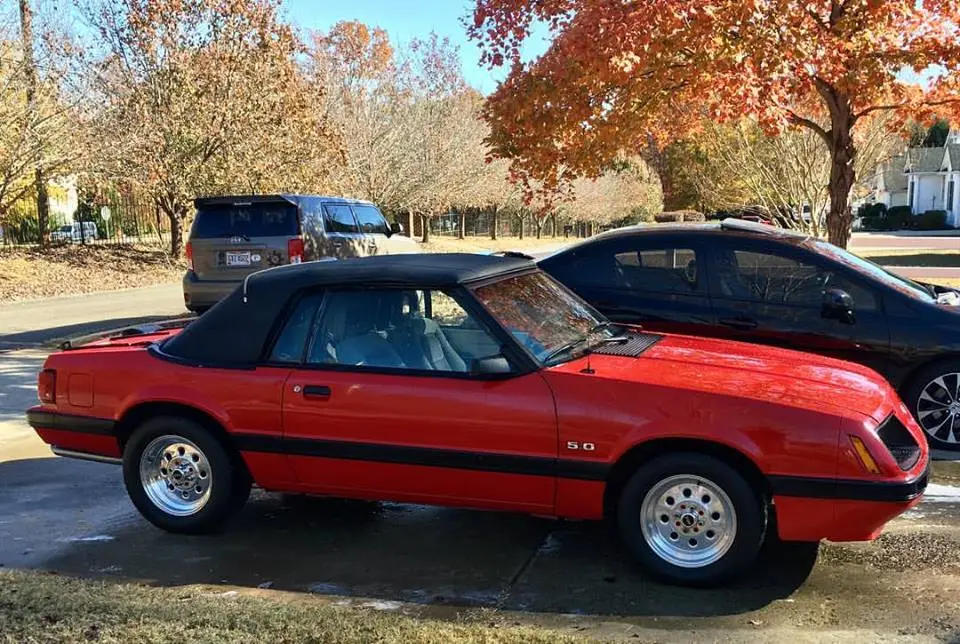mustang_zpsnxv834si.webp