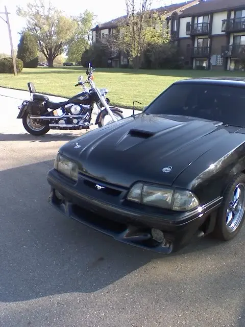 MustangandFatBoy.webp