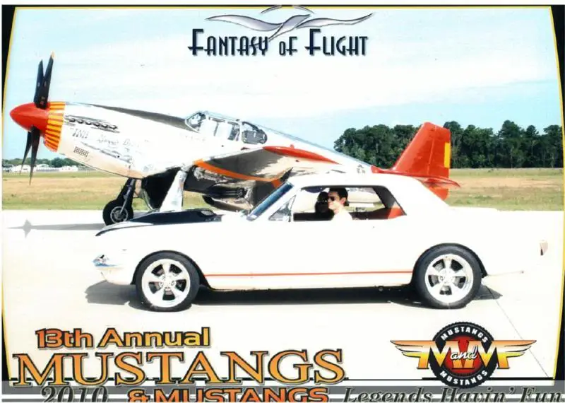 mustangandmustang.webp