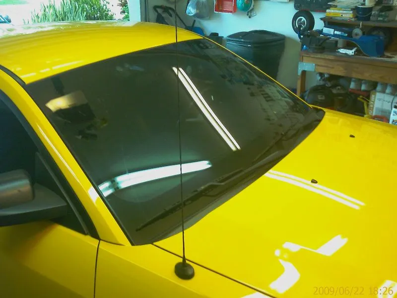 MustangAntenna1Long.webp