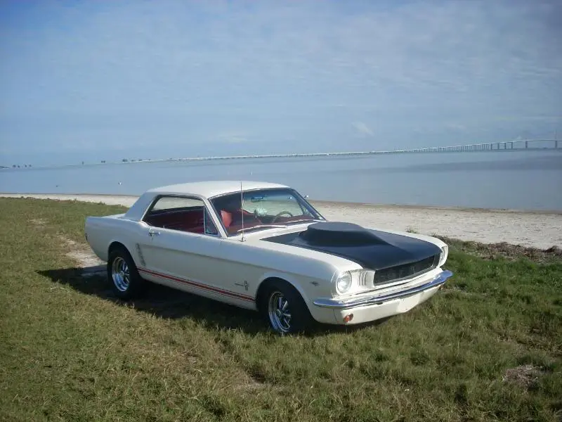 mustangatthebeach012.webp