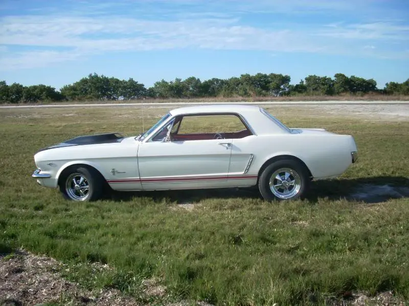 mustangatthebeach022.webp