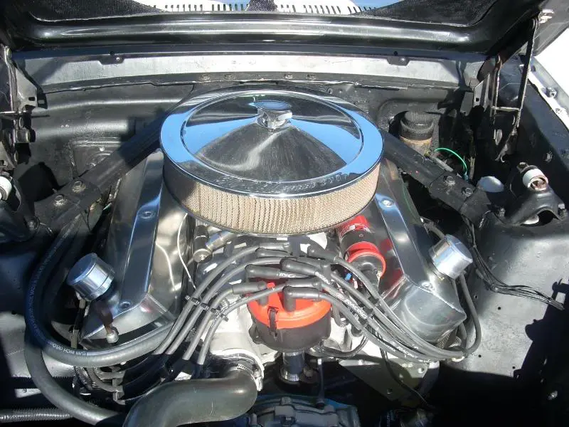 mustangatthebeach031.webp