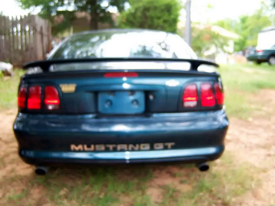 mustangback.webp