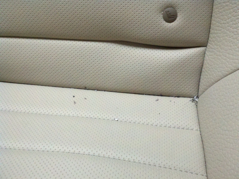 MustangBackSeatpic1-1500x1125.webp