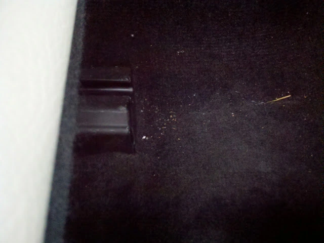 MustangBackSeatpic2-1500x1125.webp