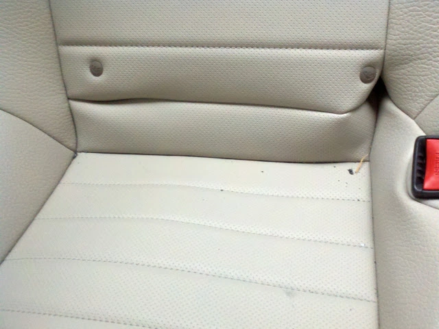 MustangBackSeatpic3-1500x1125.webp