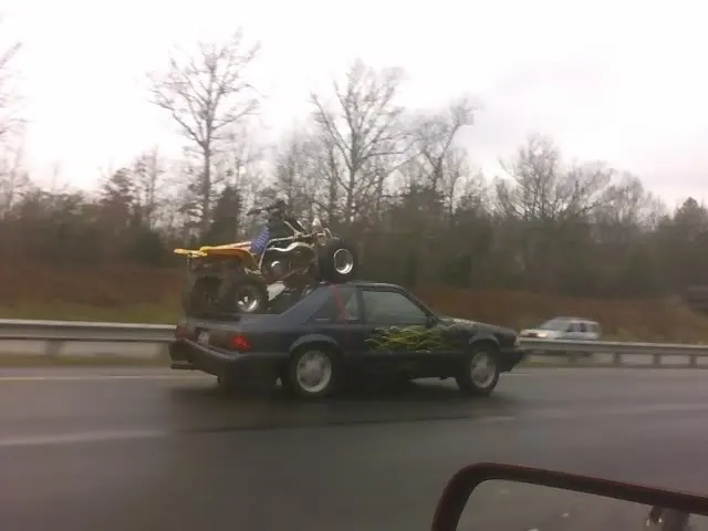 mustangbanshee.webp