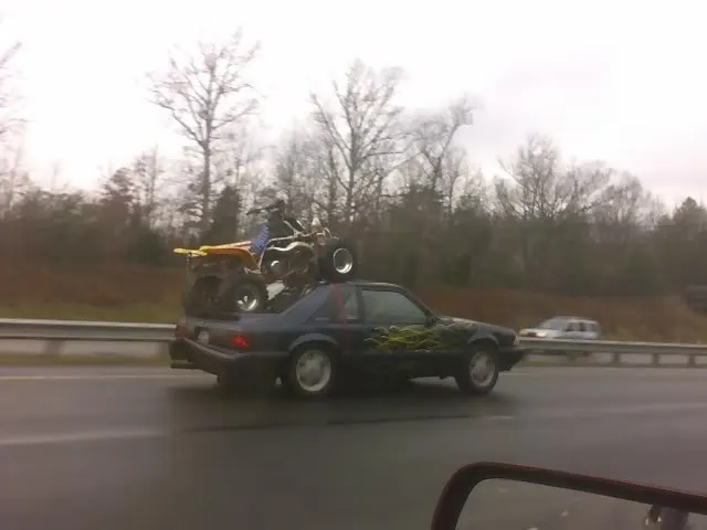 mustangbanshee.webp