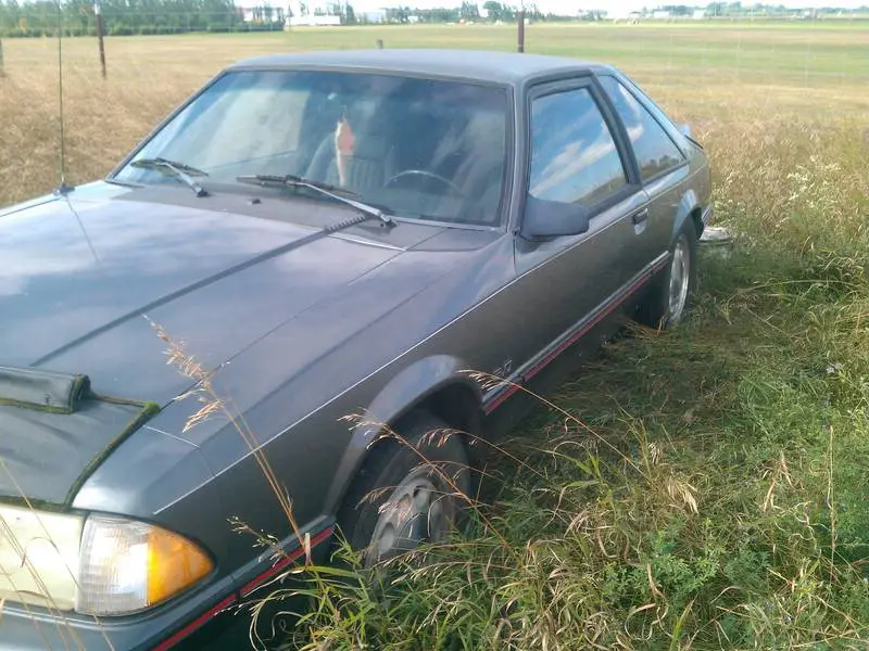 mustangbefore.webp