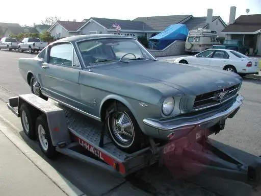mustangbehindtrailer2.webp