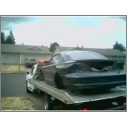 mustangc.webp