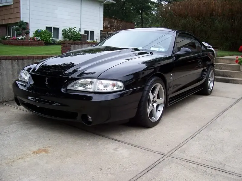 mustangcobra.webp