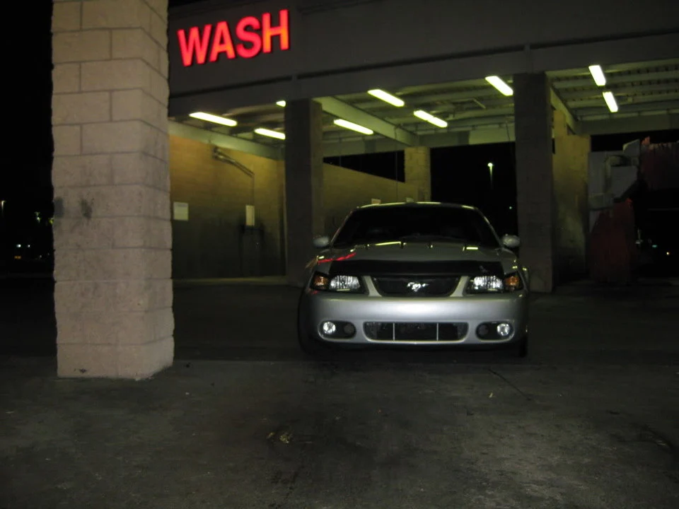 MustangCobra001.webp