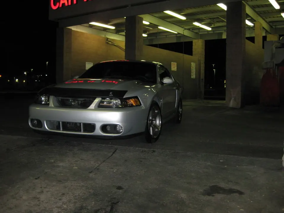 MustangCobra002.webp