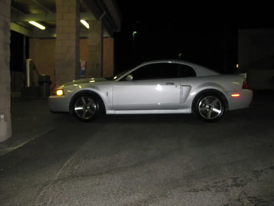 MustangCobra003.webp