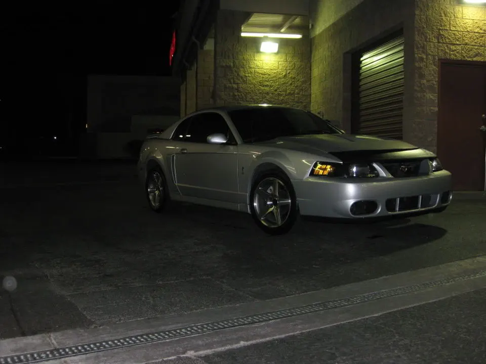MustangCobra005.webp